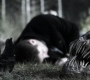 Filename=SPN_0842.jpg
Filesize=173KiB
Dimensions=1912x1072
Date added=Sep 09, 2020 SPN_0842.jpg