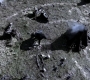 Filename=SPN_0856.jpg
Filesize=486KiB
Dimensions=1912x1072
Date added=Sep 09, 2020 SPN_0856.jpg
