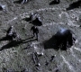Filename=SPN_0857.jpg
Filesize=437KiB
Dimensions=1912x1072
Date added=Sep 09, 2020 SPN_0857.jpg