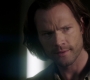Filename=SPN_0882.jpg
Filesize=83KiB
Dimensions=1912x1072
Date added=Sep 09, 2020 SPN_0882.jpg