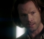 Filename=SPN_0884.jpg
Filesize=78KiB
Dimensions=1912x1072
Date added=Sep 09, 2020 SPN_0884.jpg