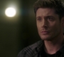 Filename=SPN_0917.jpg
Filesize=79KiB
Dimensions=1912x1072
Date added=Sep 09, 2020 SPN_0917.jpg