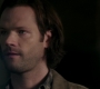 Filename=SPN_0924.jpg
Filesize=83KiB
Dimensions=1912x1072
Date added=Sep 09, 2020 SPN_0924.jpg