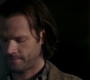 Filename=SPN_0925.jpg
Filesize=81KiB
Dimensions=1912x1072
Date added=Sep 09, 2020 SPN_0925.jpg