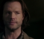 Filename=SPN_0950.jpg
Filesize=70KiB
Dimensions=1912x1072
Date added=Sep 09, 2020 SPN_0950.jpg