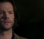 Filename=SPN_0956.jpg
Filesize=68KiB
Dimensions=1912x1072
Date added=Sep 09, 2020 SPN_0956.jpg