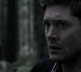 Filename=SPN_1118.jpg
Filesize=71KiB
Dimensions=1912x1072
Date added=Sep 11, 2020 SPN_1118.jpg