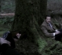 Filename=SPN_1124.jpg
Filesize=103KiB
Dimensions=1912x1072
Date added=Sep 11, 2020 SPN_1124.jpg