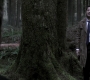 Filename=SPN_1132.jpg
Filesize=211KiB
Dimensions=1912x1072
Date added=Sep 11, 2020 SPN_1132.jpg