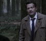 Filename=SPN_1164.jpg
Filesize=117KiB
Dimensions=1912x1072
Date added=Sep 11, 2020 SPN_1164.jpg