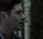 Filename=SPN_1176.jpg
Filesize=85KiB
Dimensions=1912x1072
Date added=Sep 11, 2020 SPN_1176.jpg