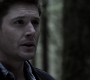 Filename=SPN_1177.jpg
Filesize=84KiB
Dimensions=1912x1072
Date added=Sep 11, 2020 SPN_1177.jpg