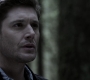 Filename=SPN_1179.jpg
Filesize=92KiB
Dimensions=1912x1072
Date added=Sep 11, 2020 SPN_1179.jpg