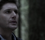 Filename=SPN_1181.jpg
Filesize=89KiB
Dimensions=1912x1072
Date added=Sep 11, 2020 SPN_1181.jpg