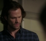 Filename=SPN_1791.jpg
Filesize=72KiB
Dimensions=1912x1072
Date added=Sep 12, 2020 SPN_1791.jpg