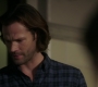 Filename=SPN_1792.jpg
Filesize=78KiB
Dimensions=1912x1072
Date added=Sep 12, 2020 SPN_1792.jpg