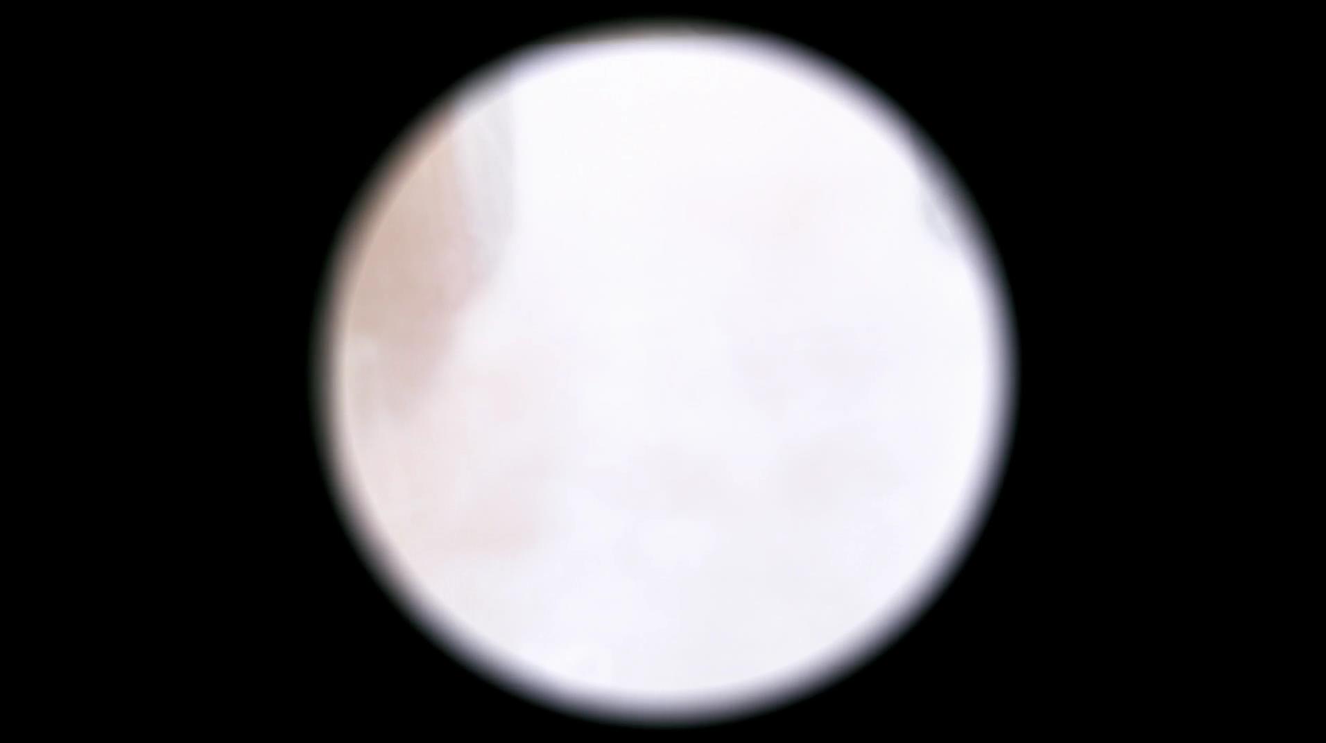 SPN_0986.jpg