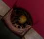 Filename=SPN_0010.jpg
Filesize=71KiB
Dimensions=1912x1072
Date added=Sep 29, 2020 SPN_0010.jpg