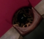 Filename=SPN_0035.jpg
Filesize=67KiB
Dimensions=1912x1072
Date added=Sep 29, 2020 SPN_0035.jpg