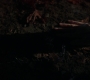 Filename=SPN_0093.jpg
Filesize=81KiB
Dimensions=1912x1072
Date added=Sep 29, 2020 SPN_0093.jpg