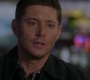 SPN_1184.jpg