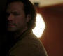 SPN_1516.jpg