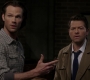 SPN_1173.jpg