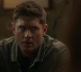 SPN_0589.jpg