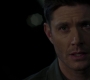 SPN_0871.jpg