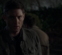 SPN_0908.jpg