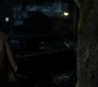 SPN_0913.jpg