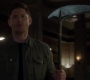 SPN_0993.jpg