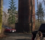 SPN_1003.jpg