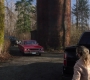SPN_1004.jpg