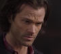 SPN_1047.jpg