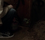 SPN_1160.jpg
