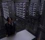 SPN_1195.jpg
