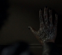 SPN_1616.jpg