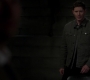 SPN_1676.jpg