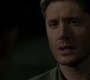SPN_1784.jpg