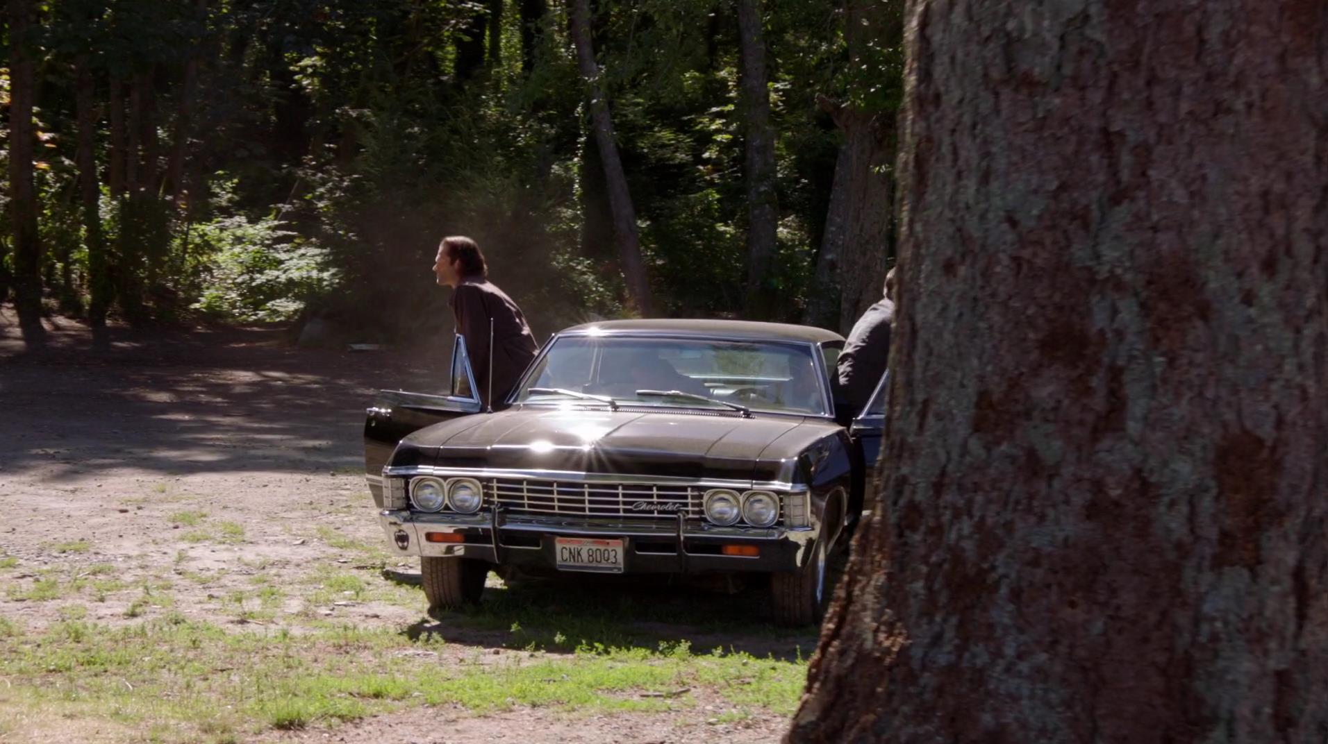 SPN_1266.jpg