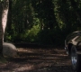 SPN_1251.jpg