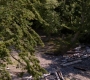 SPN_1258.jpg