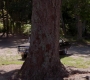 SPN_1264.jpg
