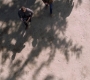 SPN_1272.jpg