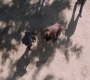 SPN_1274.jpg