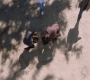SPN_1275.jpg