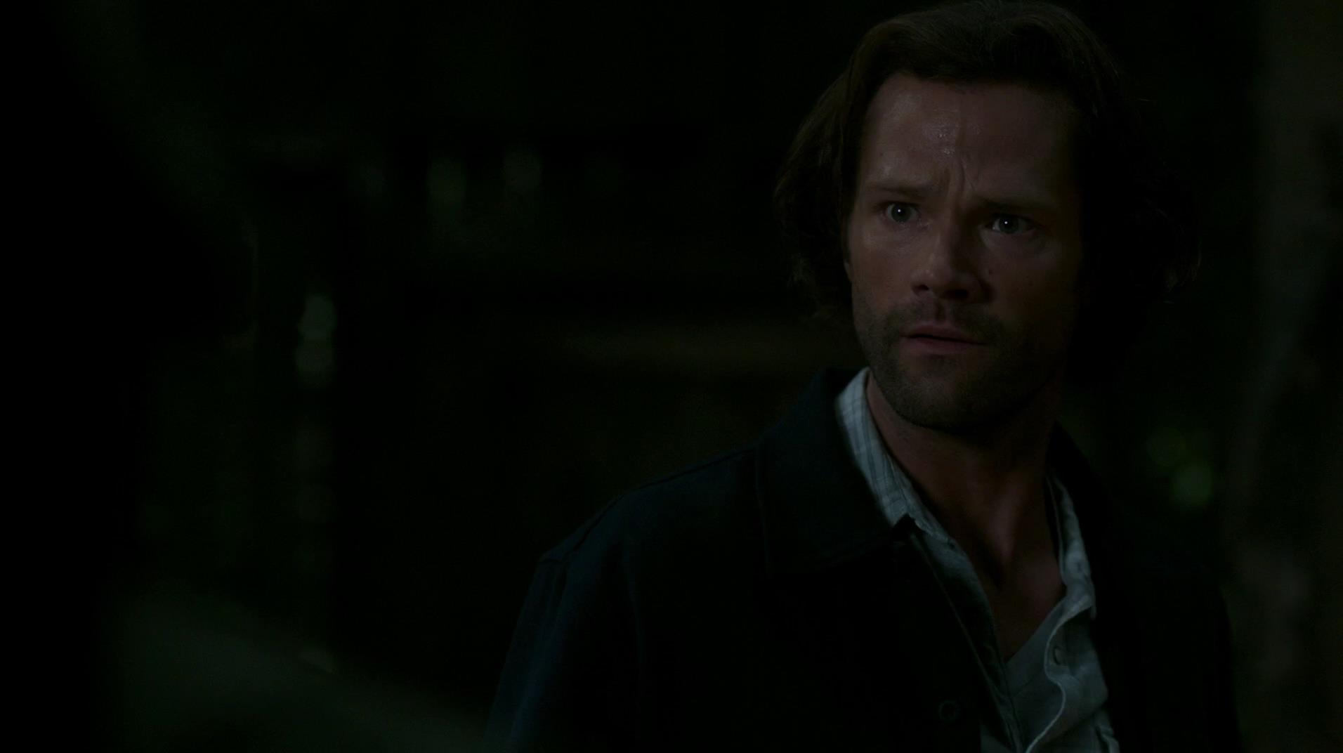 SPN_1024.jpg