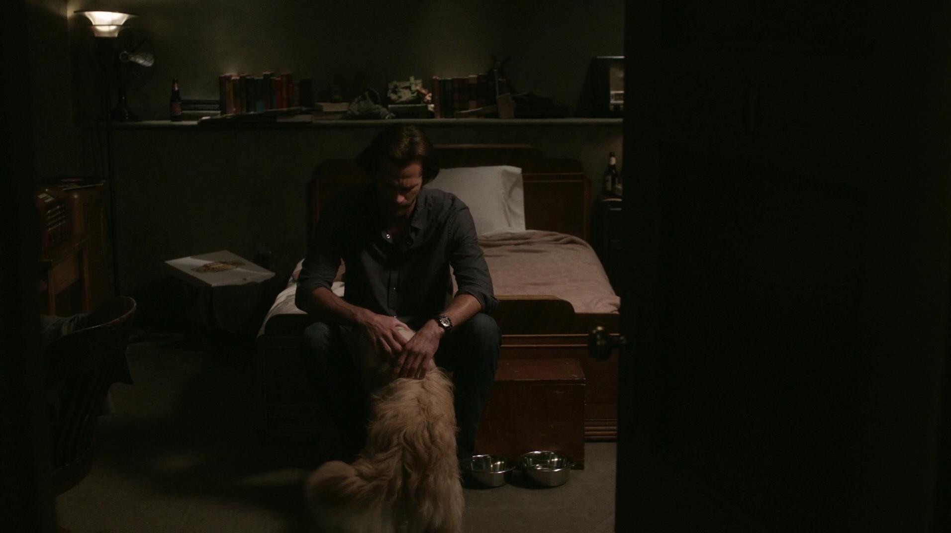 SPN_1426.jpg