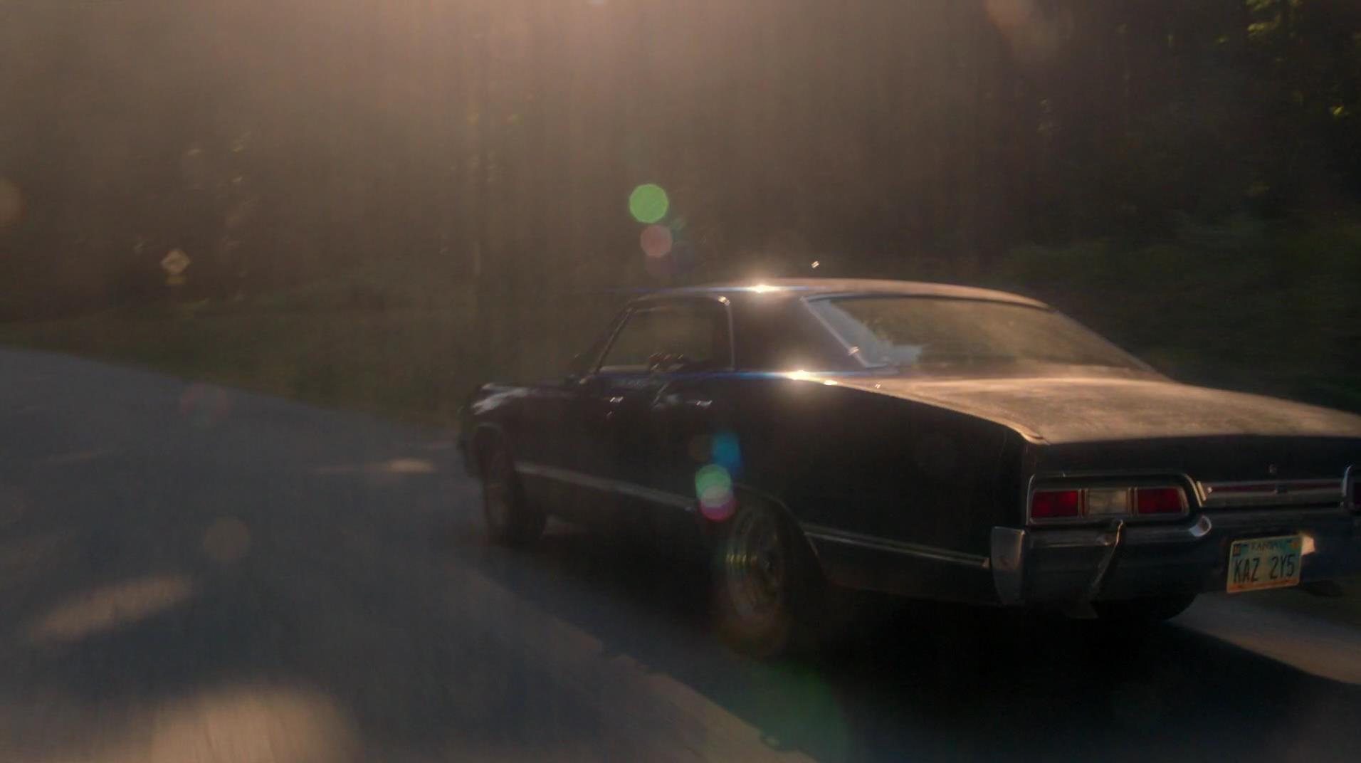 SPN_1800.jpg